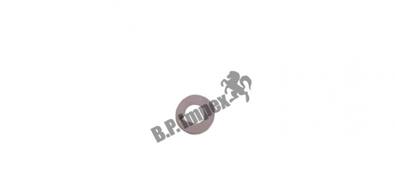 SEALING WASHER,252518179202